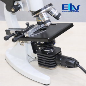 Kính hiển vi DMK13A (XSP13A có đèn) – Phóng đại 1600X, có gương và LED