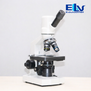 Hh037332 Edulabviet (1)