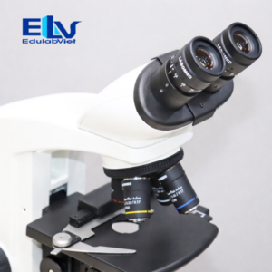 Kính hiển vi CXL 9135006 Labomed chính hãng – Semi Plan LP Series, LED 50.000 giờ