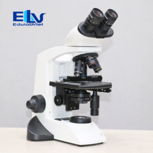 Hh038270 Edulabviet (3)