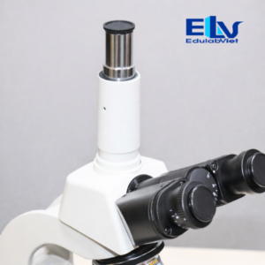 Kính hiển vi 3 mắt DMK1000T chính hãng – Độ phóng đại 1000X, hỗ trợ gắn camera