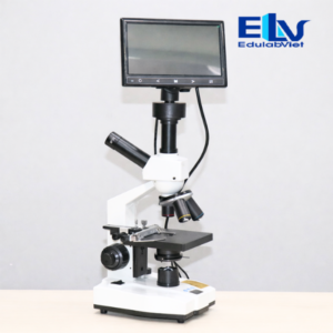 Hh039651 Edulabviet (5)