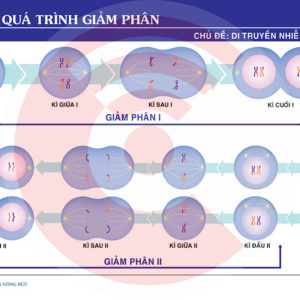 So Do Cac Ki Giam Phan (1)