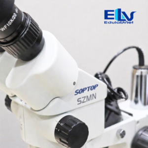 Kính Hiển Vi Soi Nổi SZM7045N-B2 Zoom 7–45X LED & Halogen