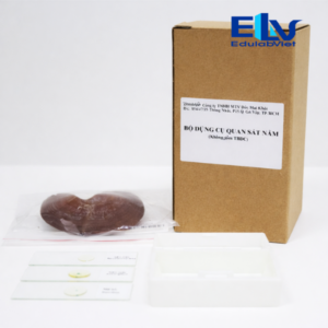 Tp037806 Edulabviet (1)