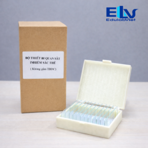 Tp040786 Logo Edulabviet