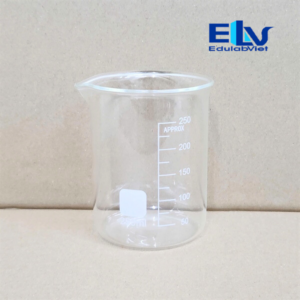 Cốc Thủy Tinh 250ml Trơn – Cốc Đong Thí Nghiệm Có Vạch Chia