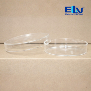 Hh035406 Edulabviet (2)