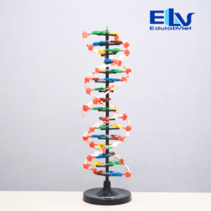 Hh037291 Edulabviet (3)