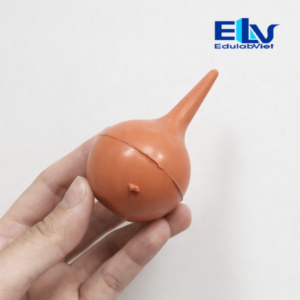 Quả Bóp Cao Su Hút Pipet Phòng Thí Nghiệm