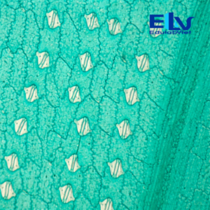 Tp001983 Edulabviet (1)