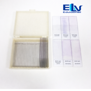 Bộ tiêu bản nhiễm sắc thể người bình thường và bất thường (12 tiêu bản) – Dùng cho giảng dạy di truyền học