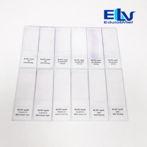 Bộ tiêu bản nhiễm sắc thể người bình thường và bất thường (12 tiêu bản) – Dùng cho giảng dạy di truyền học