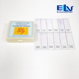 Tp036247 Edulabviet (3)