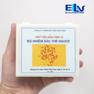 Bộ tiêu bản nhiễm sắc thể người bình thường và bất thường (12 tiêu bản) – Dùng cho giảng dạy di truyền học