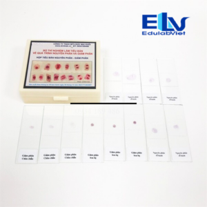 Tp037796 Edulabviet (5)