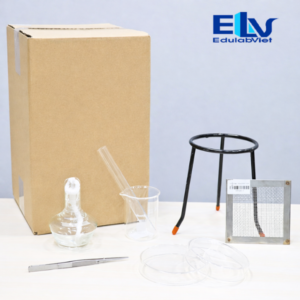 Bộ Thiết Bị Thí Nghiệm Về Sự Hình Thành Tinh Bột (Bao Gồm TBDC)